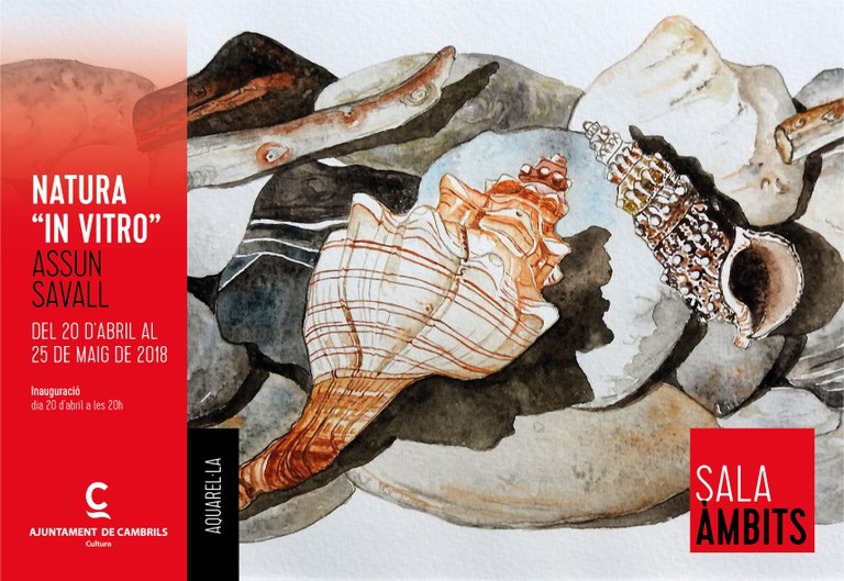Assun Savall inaugura l’exposició Natura “In vitro” al Centre Cultural de Cambrils .