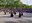 Cambrils celebrarà el Dia Internacional de la Dansa el 29 d’abril al Parc del Pinaret