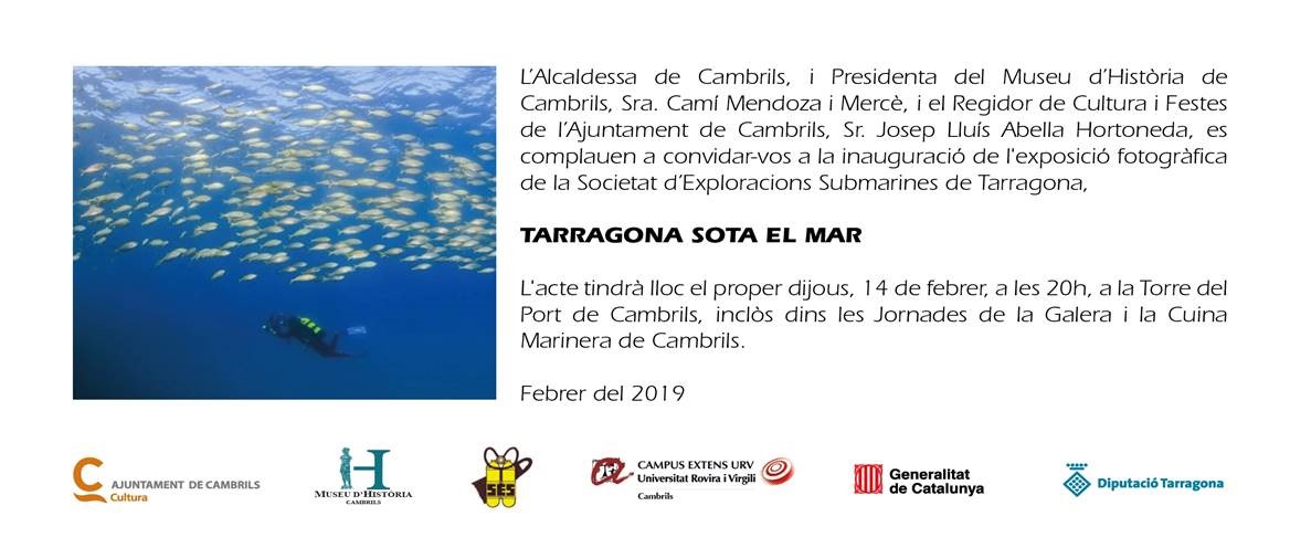 "tarragonasotamar.jpg"