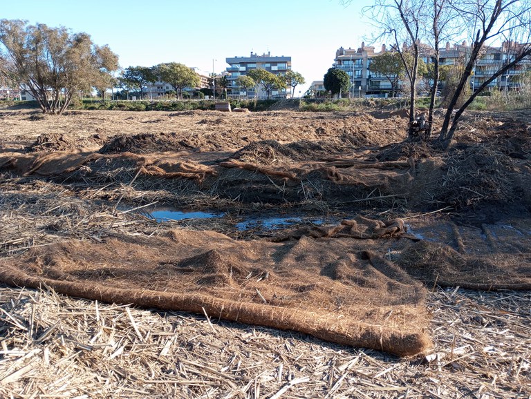 Cambrils instal·la una lona biodegradable a la Riera de Maspujols per evitar la proliferació de canyes.