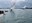 "247150926_2994164540840829_819778383191838562_nzc.jpg"