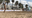 "IMG_5056 - copia.PNG"