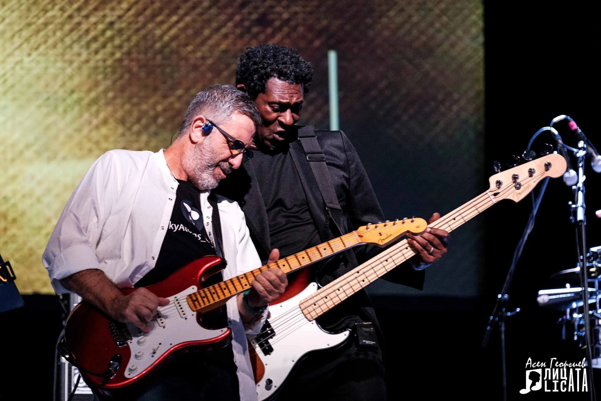 Dire Straits Legacy