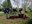El Parc Samà de Cambrils renova el seu patrimoni vegetal sense alterar l’essència romàntica