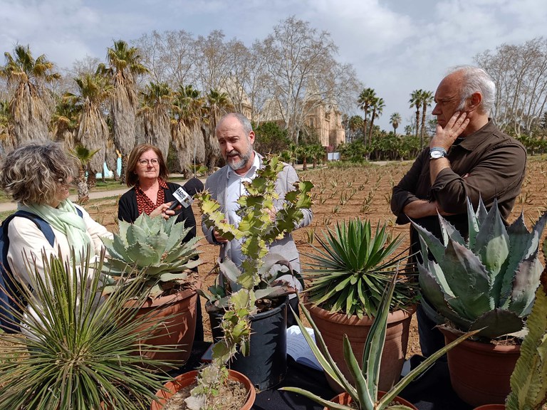 Inauguració
