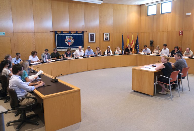 El Ple de l’Ajuntament de Cambrils aprova la creació i  composició de les Comissions Informatives.
