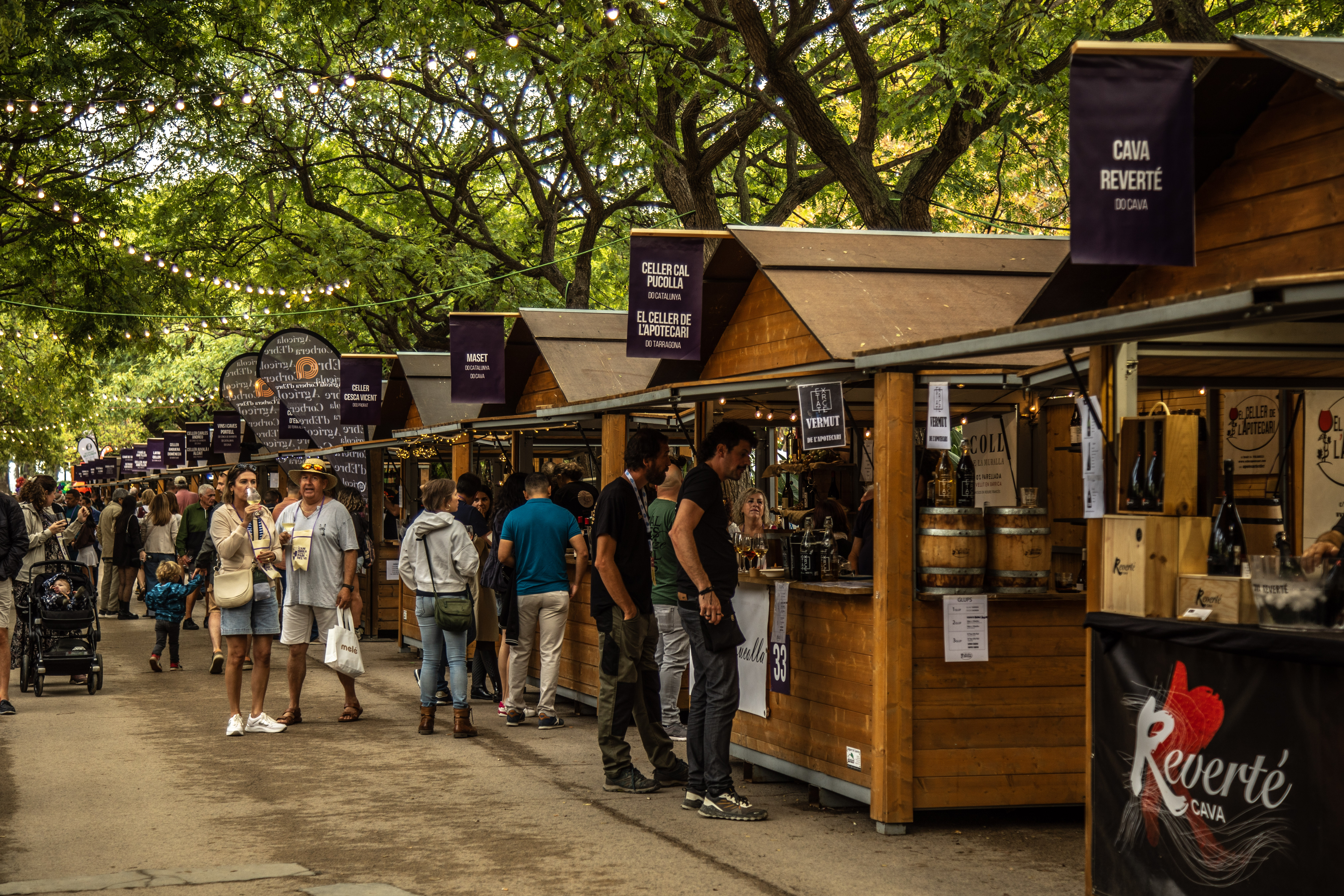 Festival del Vi i la Gastronomia 2025