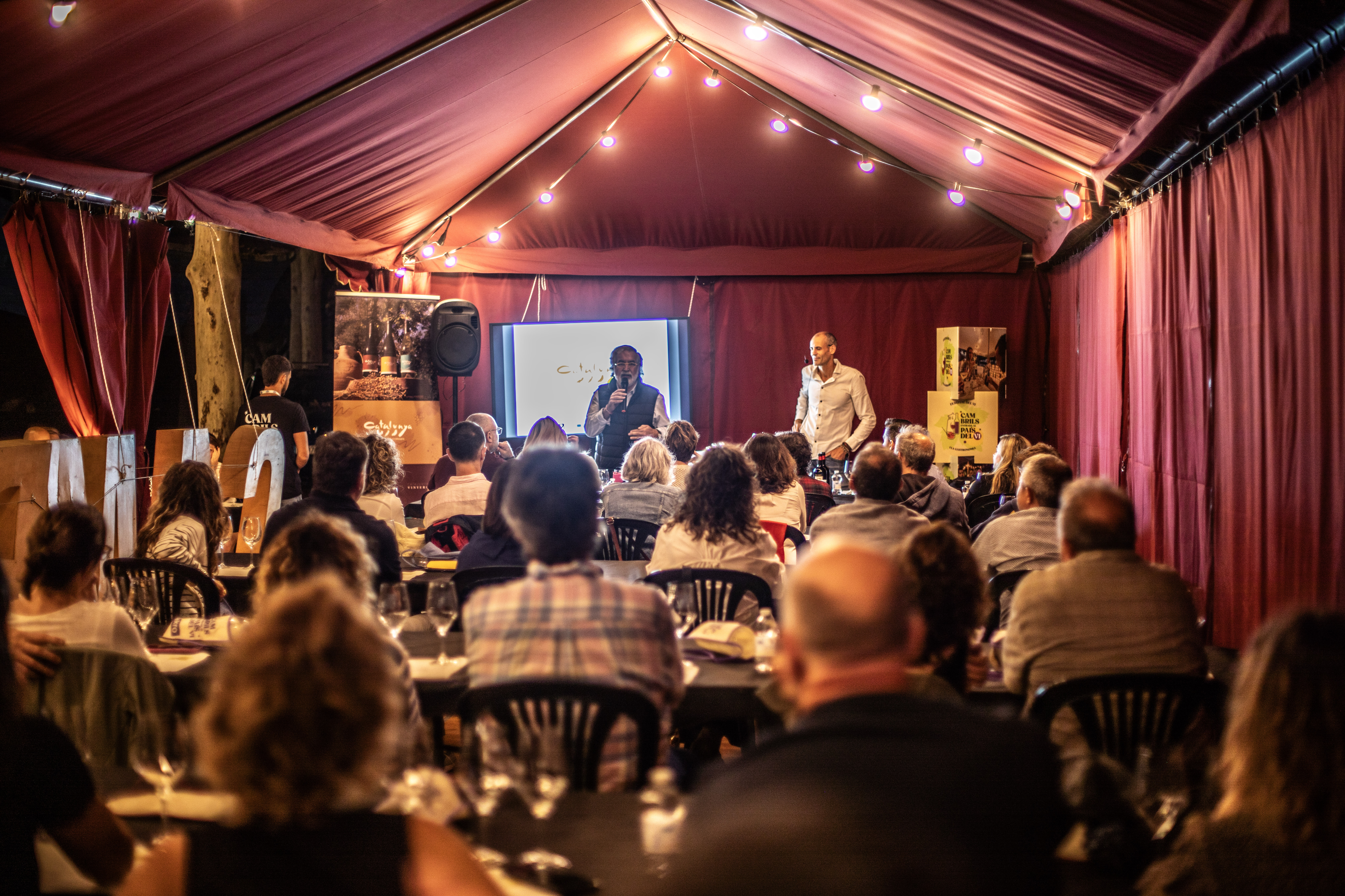 Festival del Vi i la Gastronomia 2025