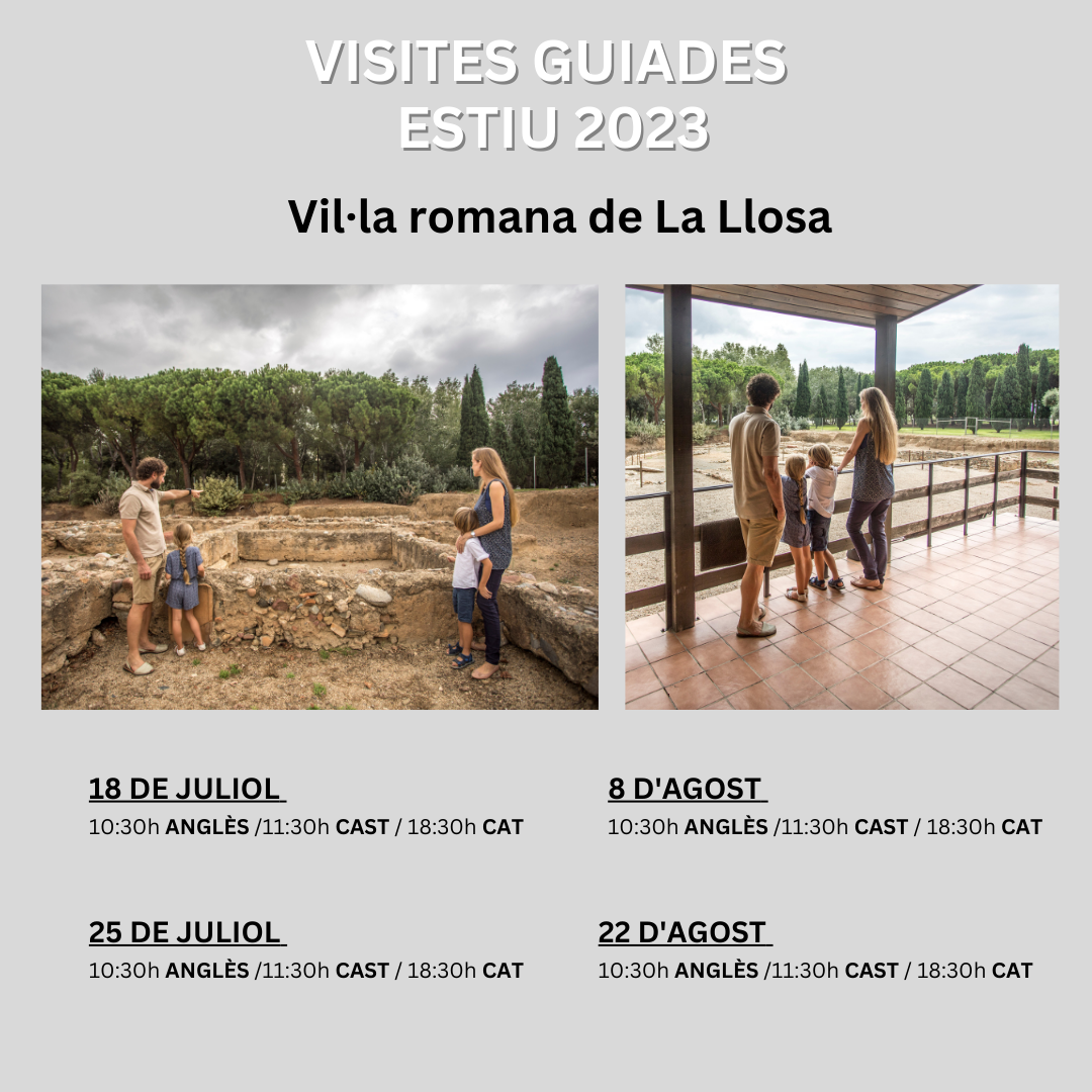 Llosa.png