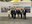 L'Aliança Turística inaugura a FITUR el programa de promocions 2023