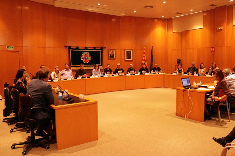 "plenari1.jpg"