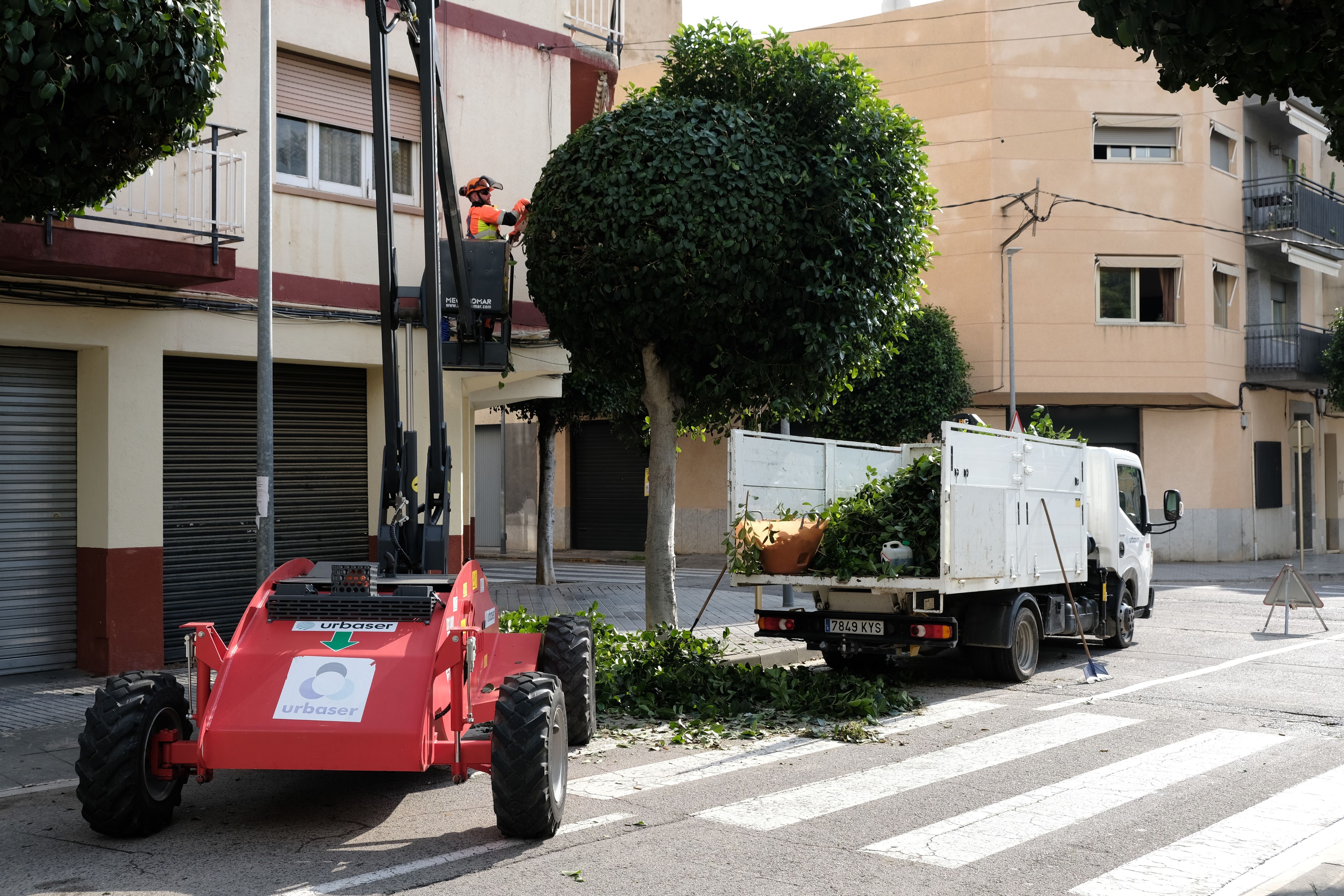 Poda al carrer Santa Joaquima Vedruna amb Ramon Berenguer IV