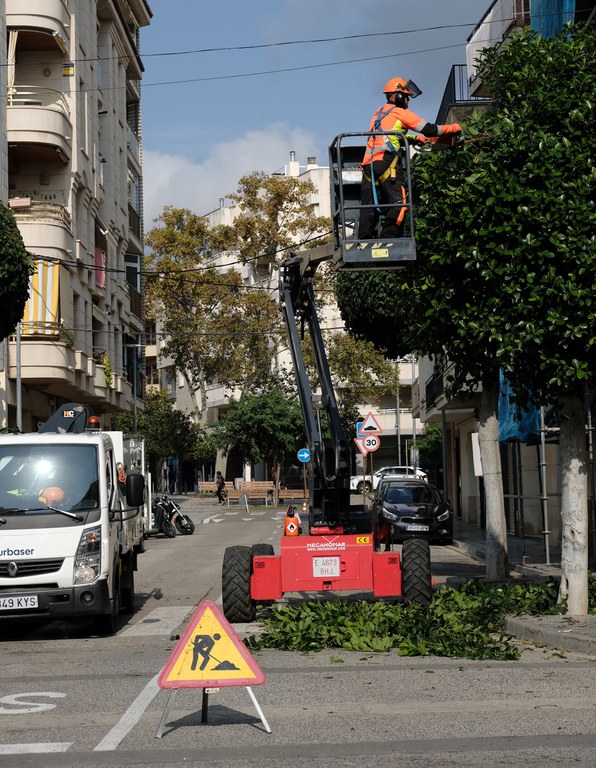 Poda al carrer Santa Joaquima Vedruna amb Ramon Berenguer IV