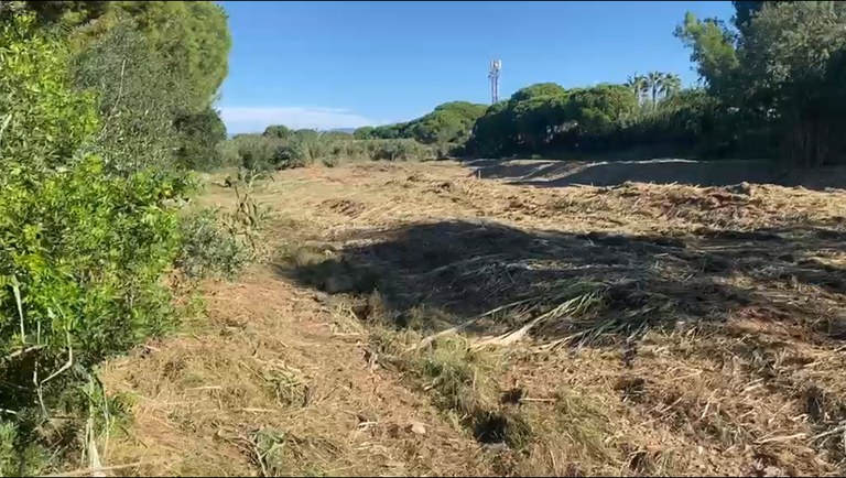 L’Ajuntament de Cambrils inicia la primera fase de la neteja del tram final de la riera de Maspujols.