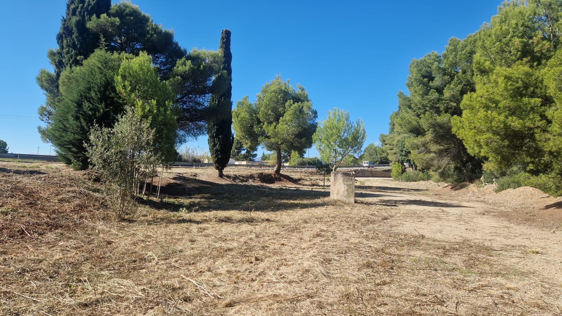 Neteja i condicionament de l’entorn del cementiri