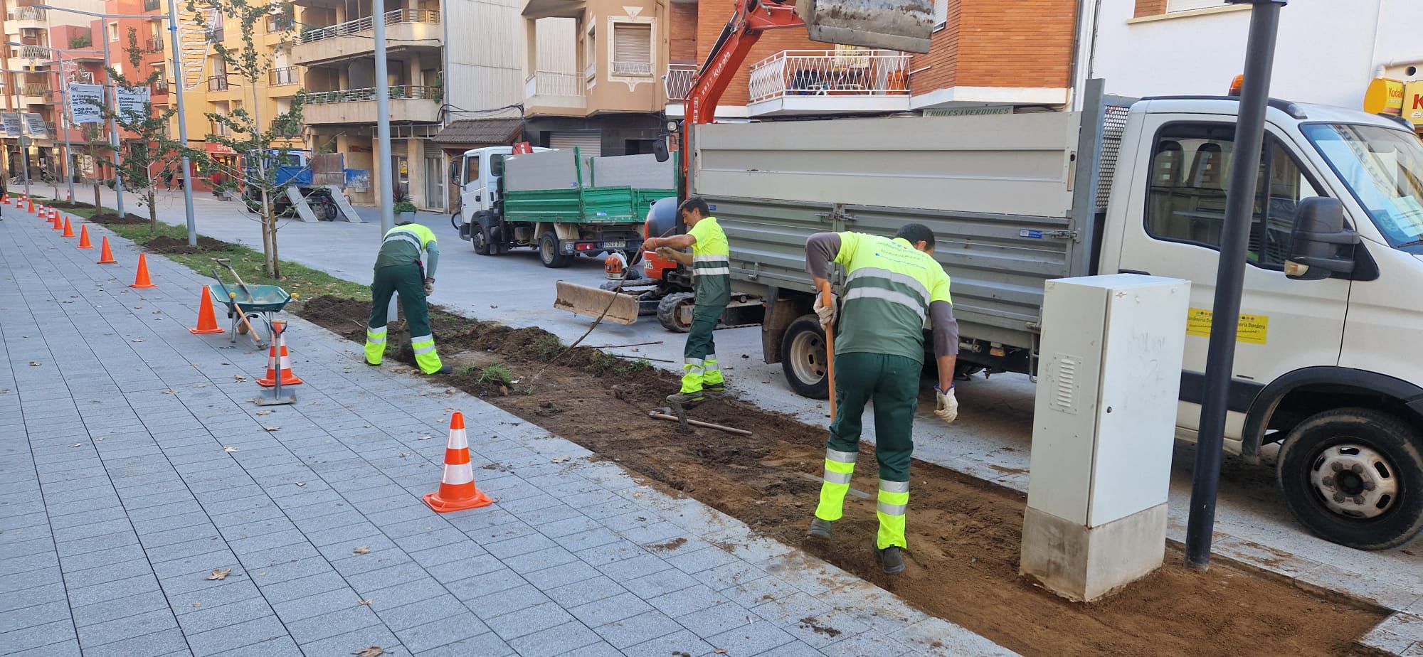 Millora de la jardineria de la Rambla Jaume I