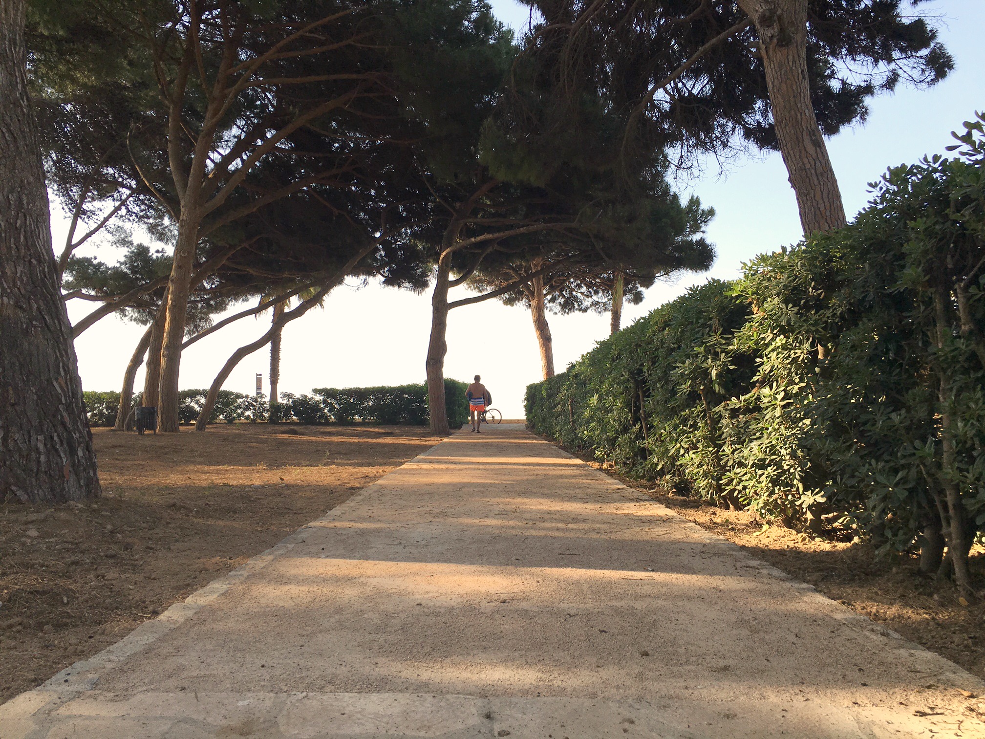 "20160610 carrer Marina.jpg"