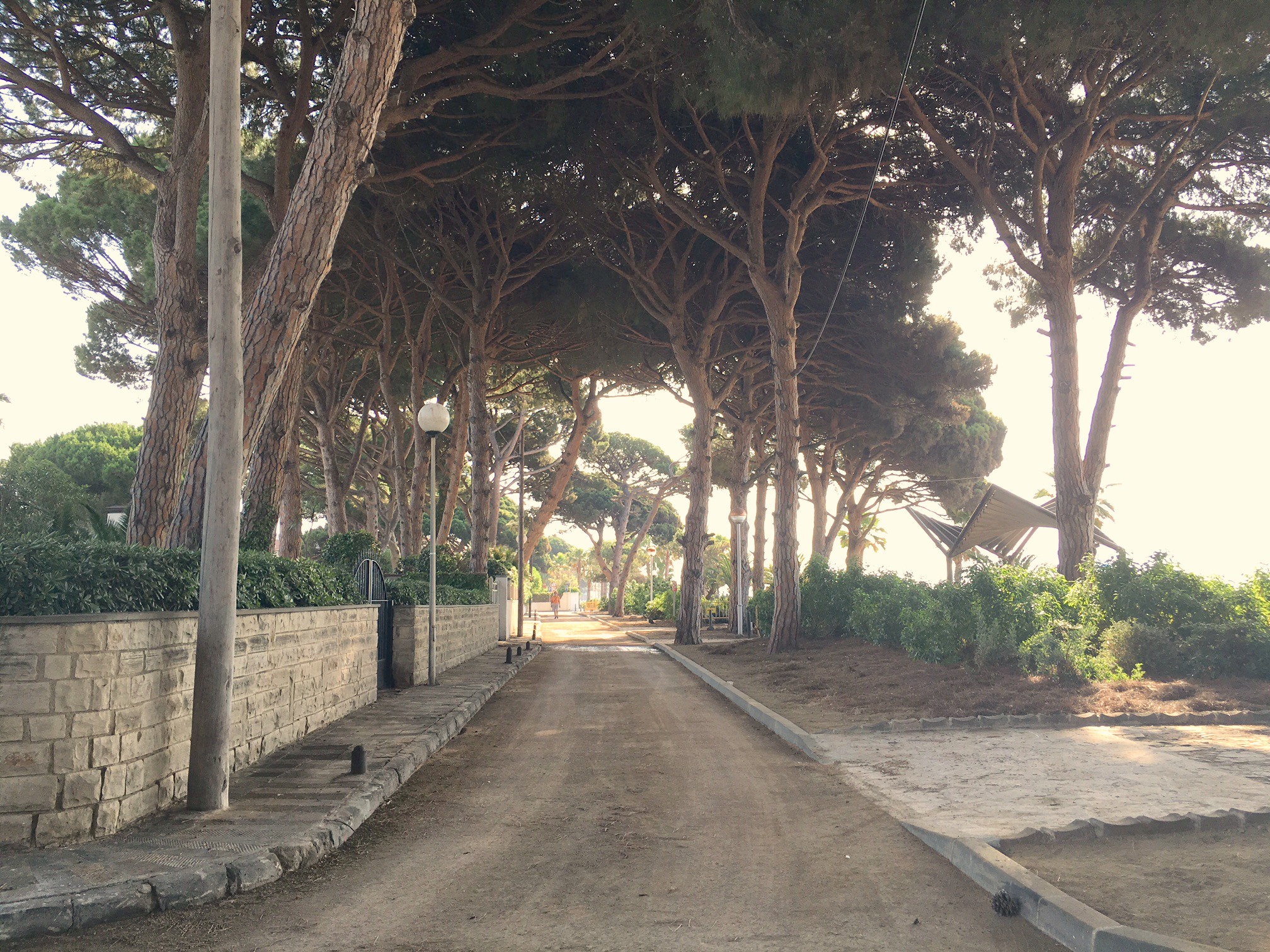 "20160610 Carrer Pinar.jpg"
