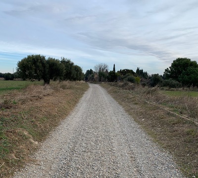 Camí Mas d'en Bosch