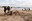 L’alumnat de l’institut Baix Camp col·labora en la neteja de les platges de Cambrils després del temporal