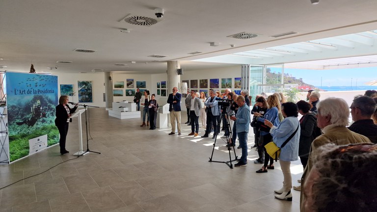 L’exposició itinerant “L’art de la posidònia” arriba a Eivissa.