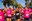 La Cursa de les Dones de Cambrils reuneix més de 1.200 participants en una jornada d’esport, solidaritat i empoderament femení
