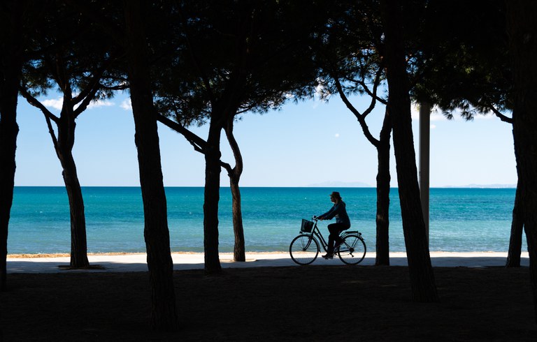 La nova plataforma “Cambrils Vila Marinera” ja està disponible en una primera fase.