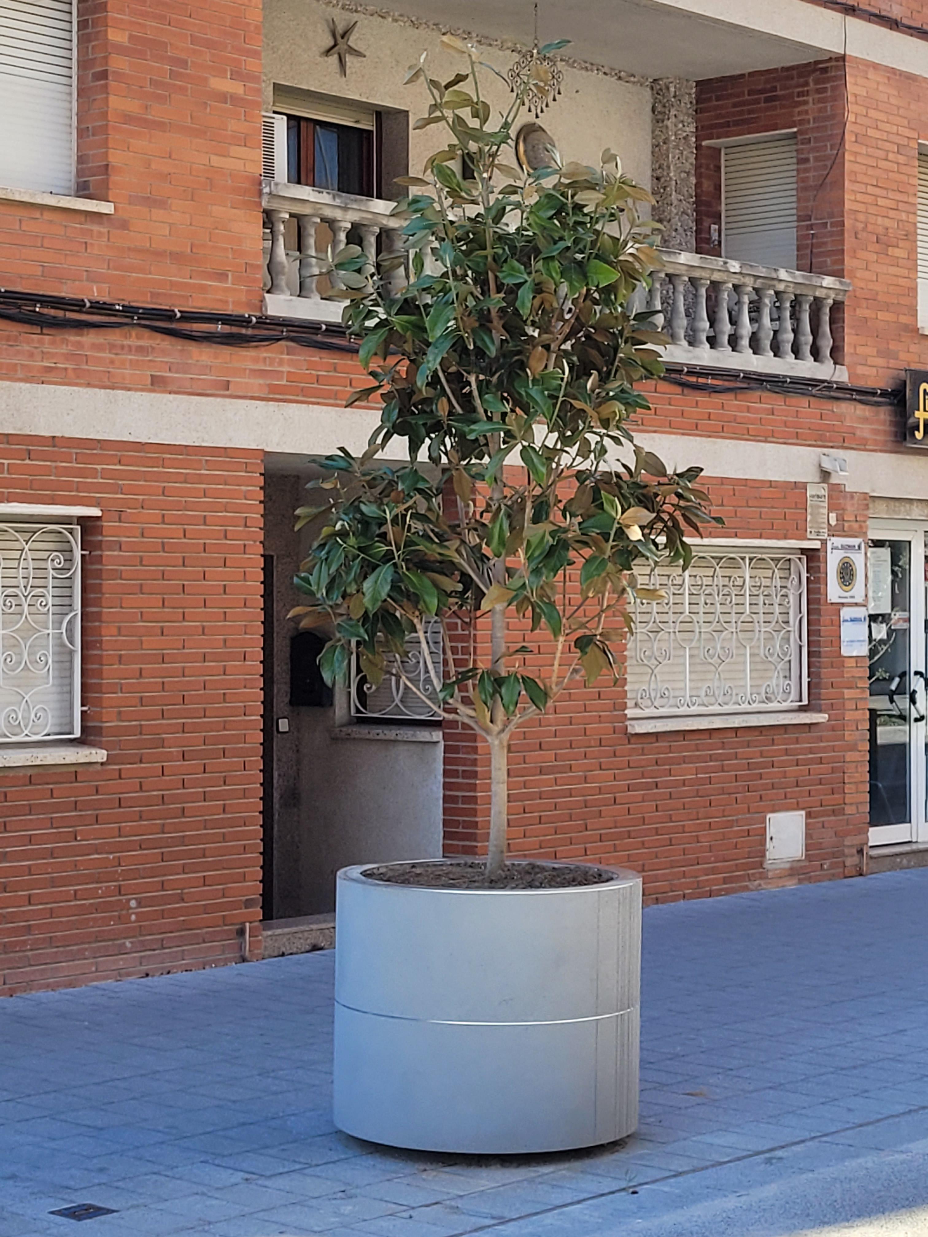 Jardineres de la Rambla Jaume I