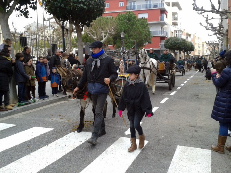 La tradicional festa de Sant Antoni omplirà Cambrils de carros i cavalleries.