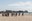 "DSC_0043.jpg"