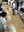 "IMG_9553 salut.jpg"