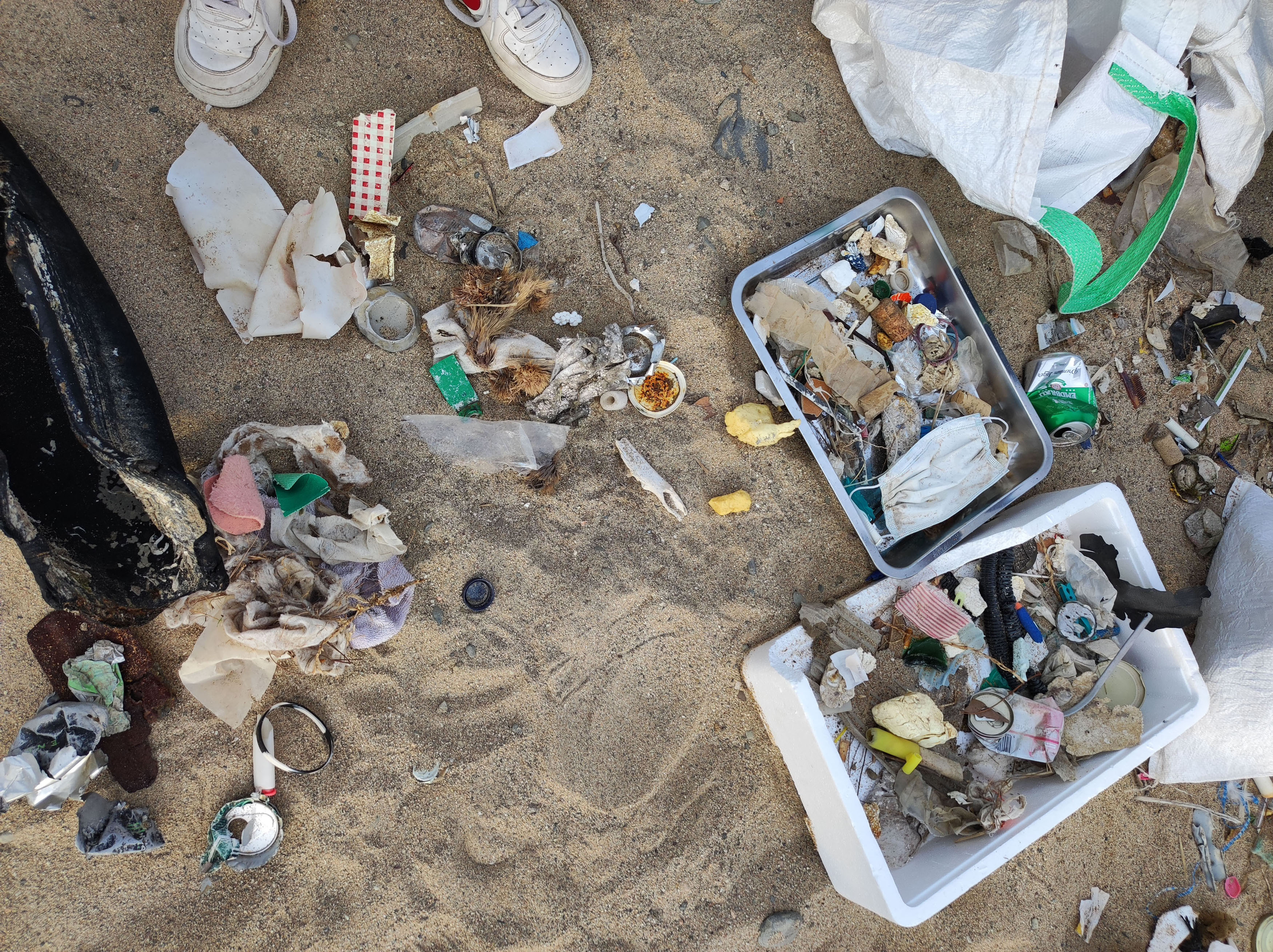 "cleanup3.jpg"