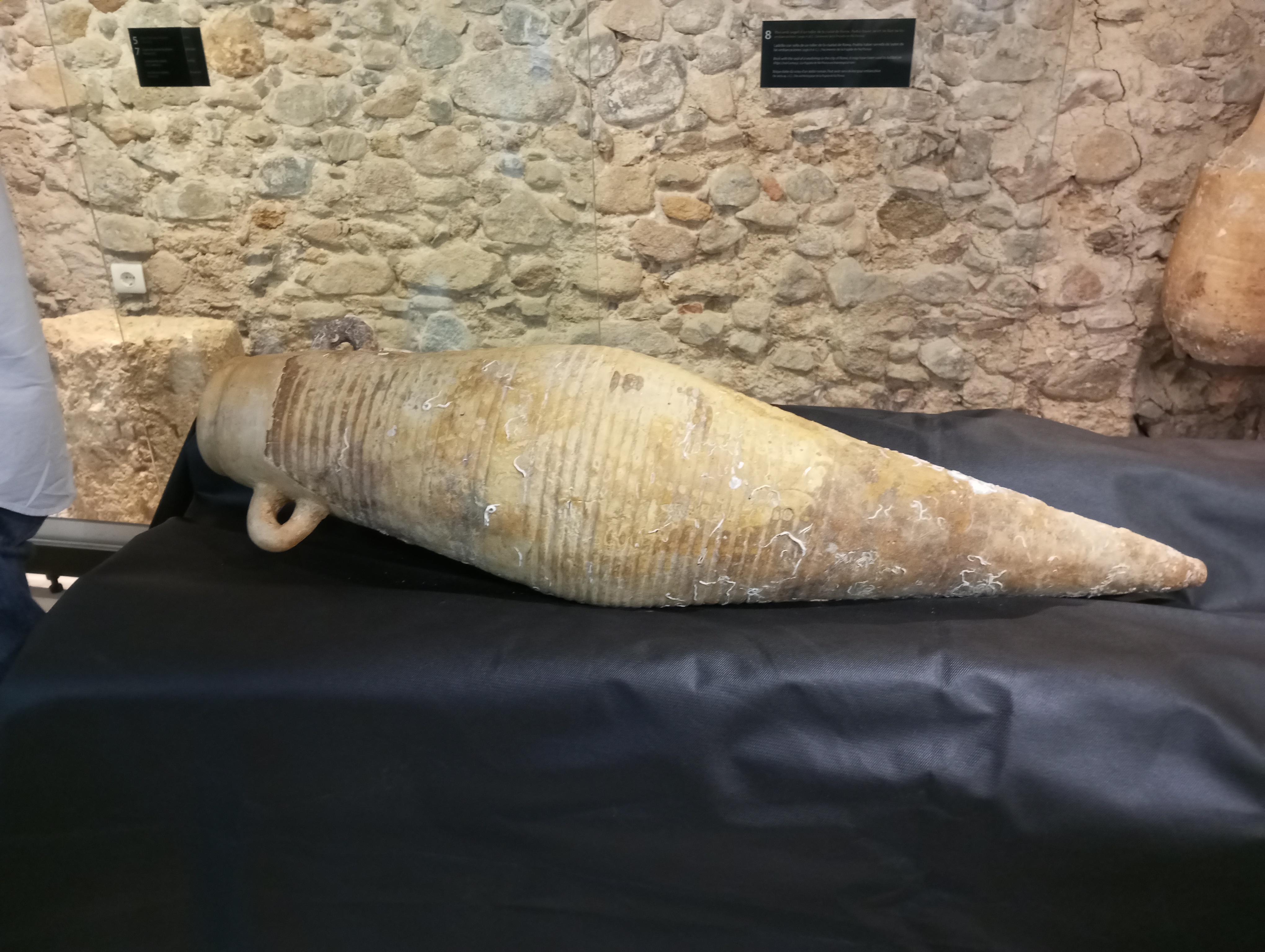Àmfora