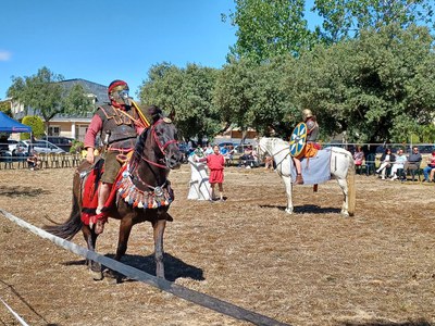 <bound method DexterityContent.Title of <Event at /fs-cambrils/cambrils/ca/actualitat/que-fer-agenda/recreacio-historica-la-cavalleria-i-el-cavall-a-roma-en-catala>>.