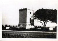 image19