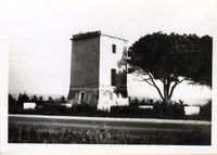 image19