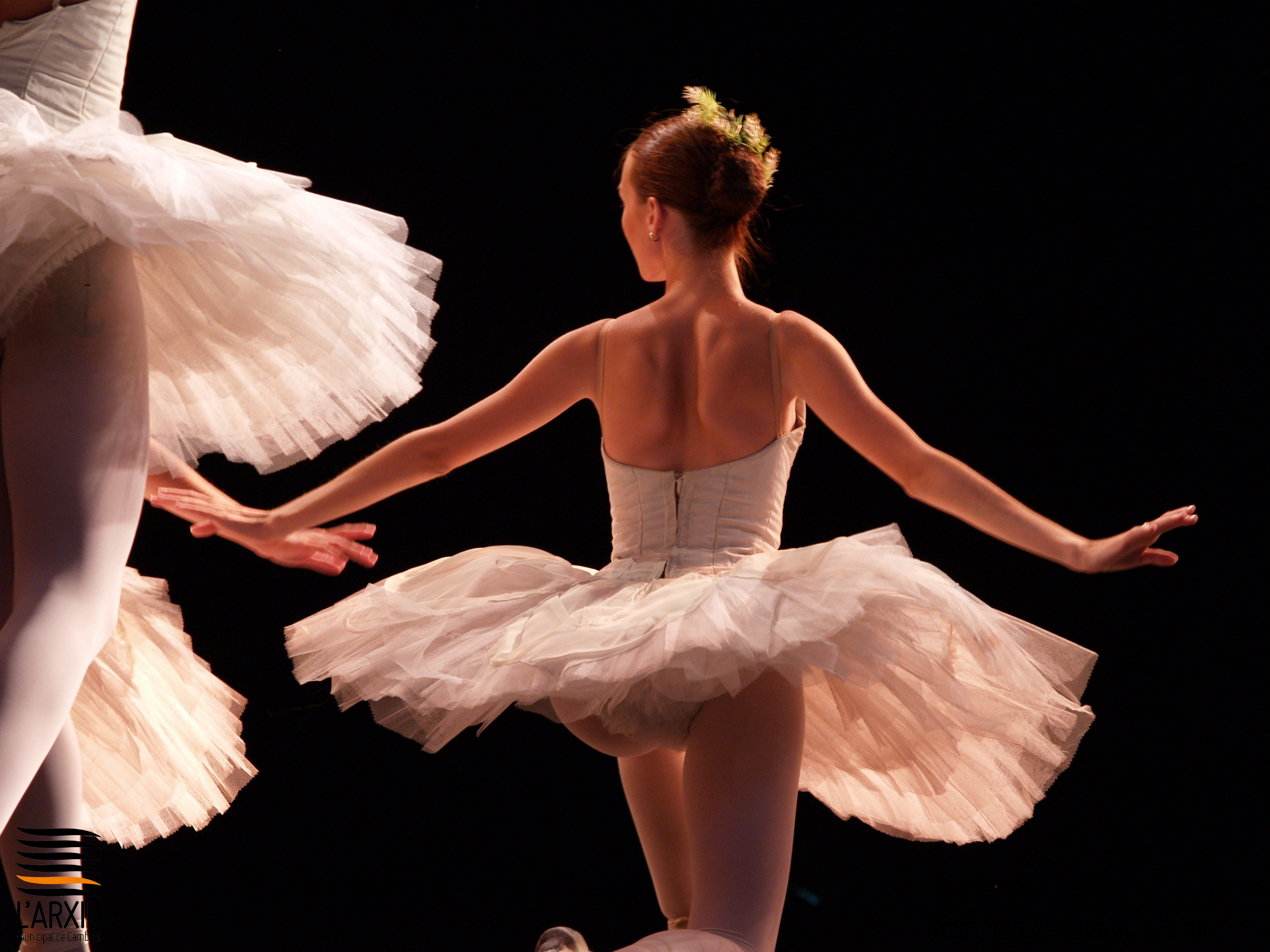 Ballet de Sant Petersburg