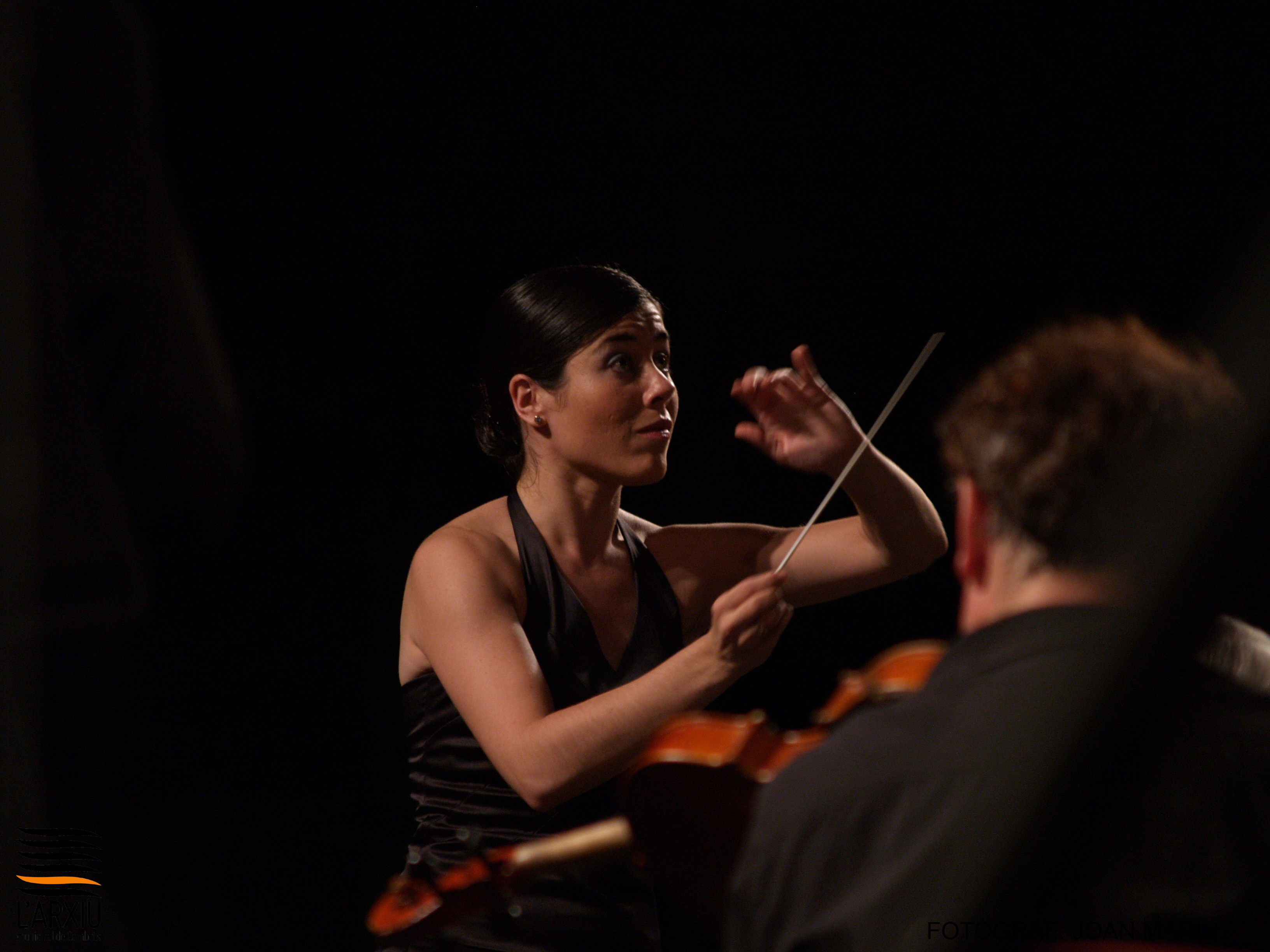 Orquestra Simfònica del Vallès