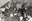 AMCAM 14542-CB-11.jpg