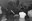 AMCAM 14542-CB-16.jpg