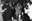 AMCAM 14542-CB-20.jpg