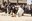 AMCAM. Fons Ajuntament de Cambrils. Núm. reg. 12381-78