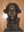 bust antoni gimbernat
