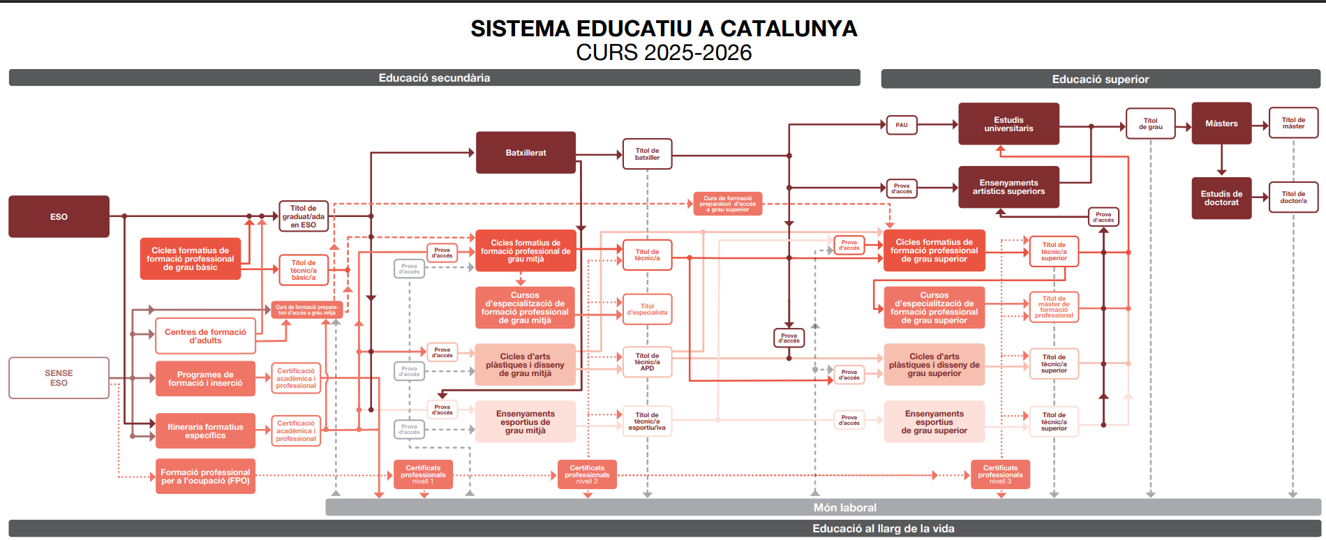 Sistema educatiu .png