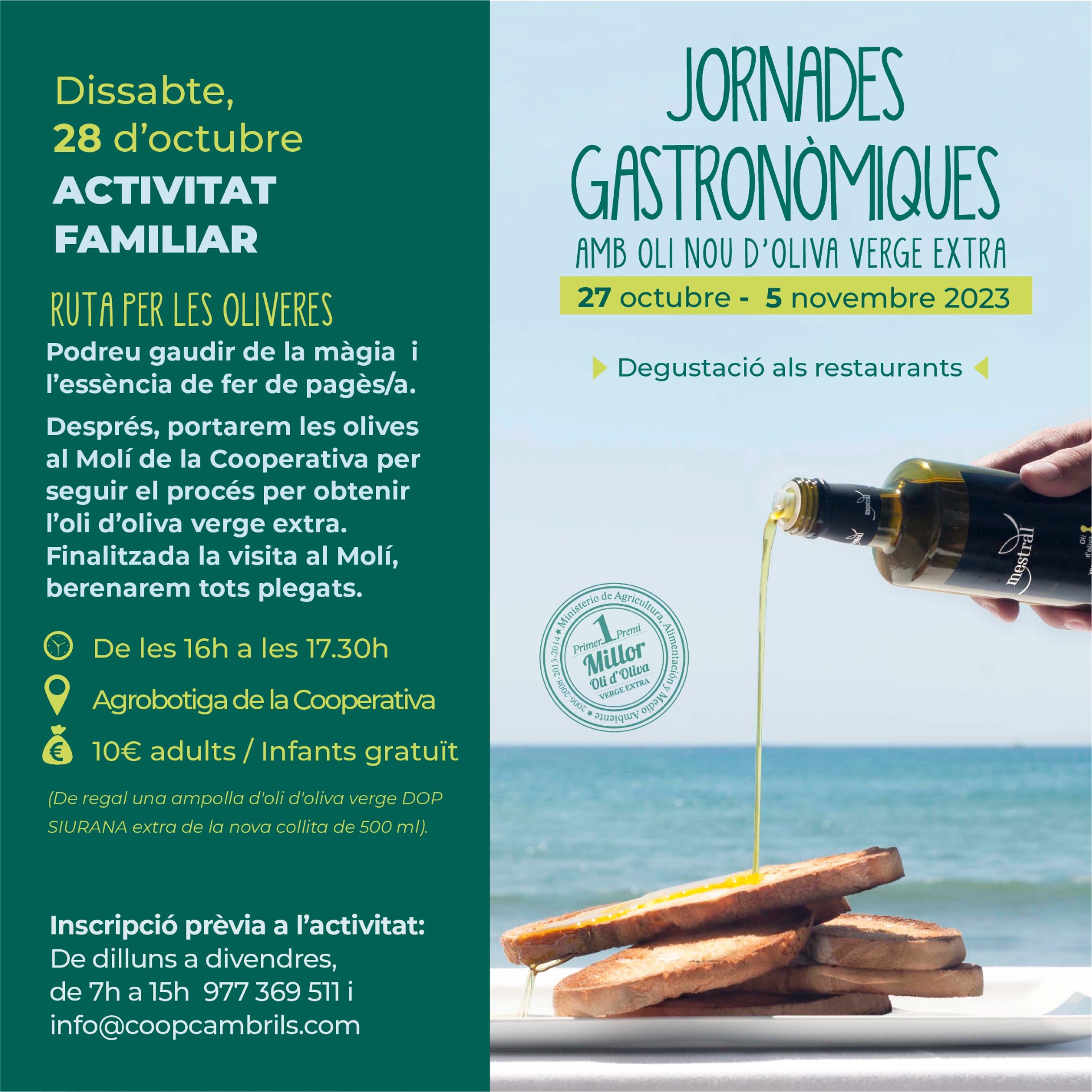 Creatiu Activitat familiar De ruta per les oliveres.jpg