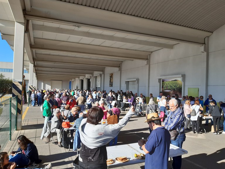 Festa Oli 3.jpg