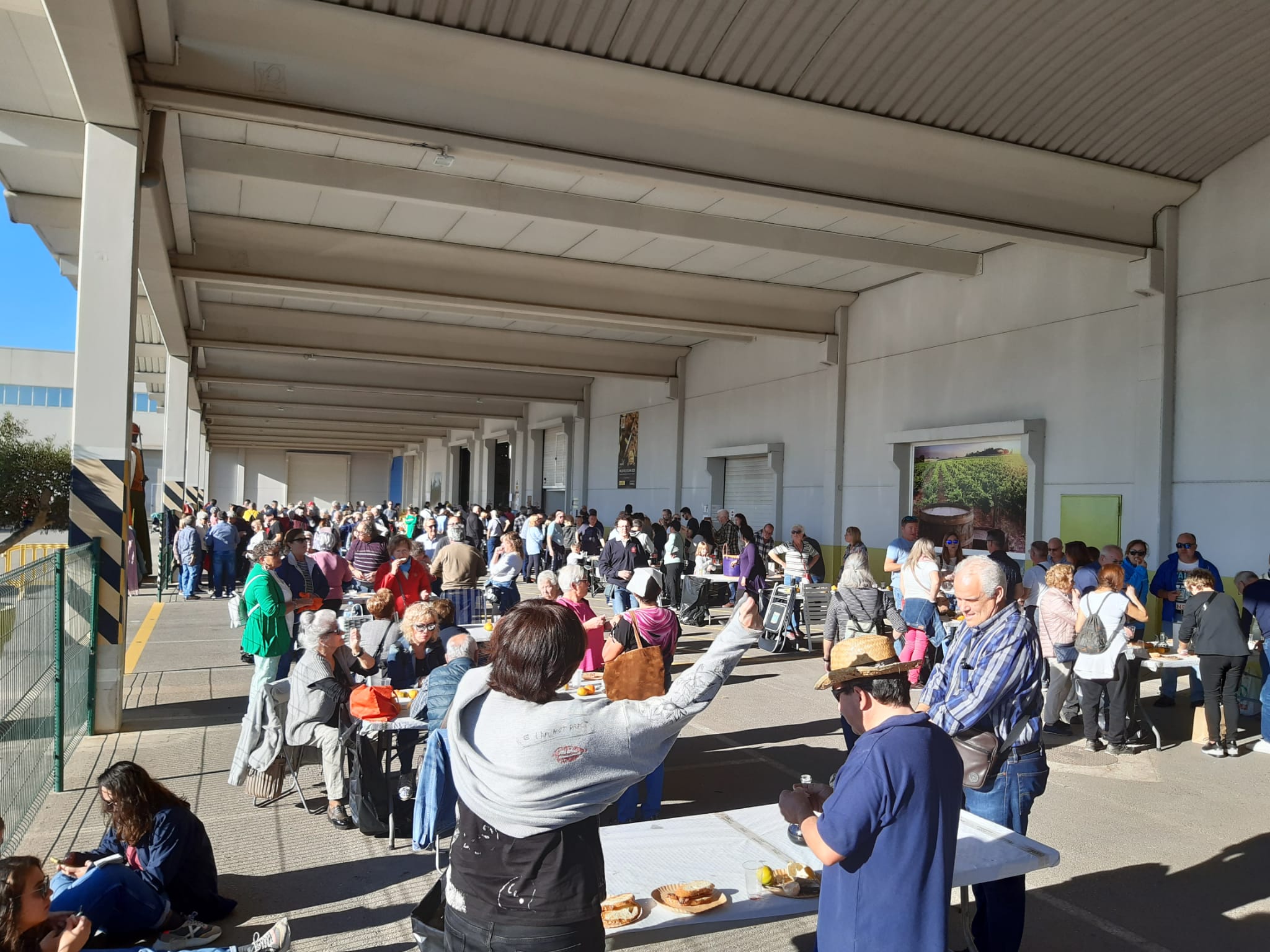 Festa Oli 3.jpg