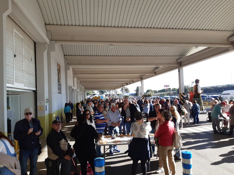 Festa Oli.jpg