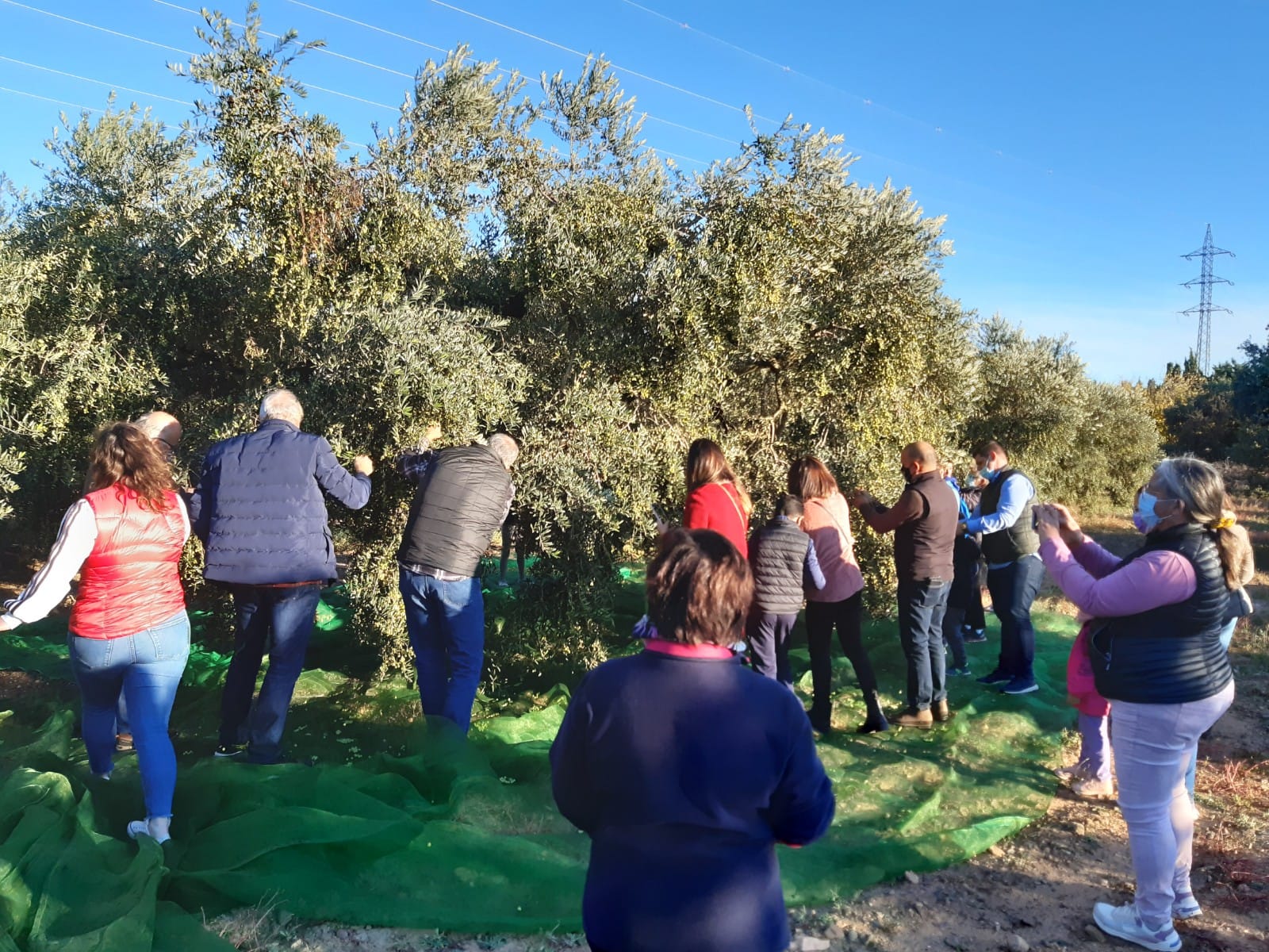 Ruta Oliveres 8.jpg