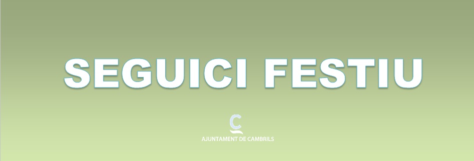 banner seguici festiu.jpg
